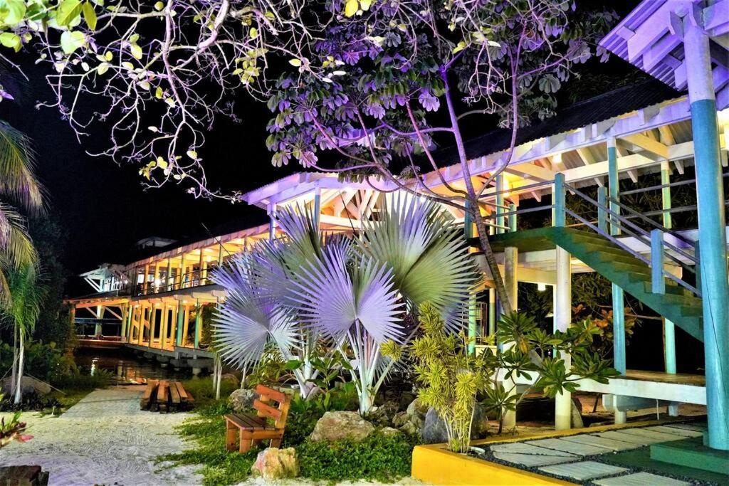 The Dock Resort Over Water Retreat West End Dış mekan fotoğraf