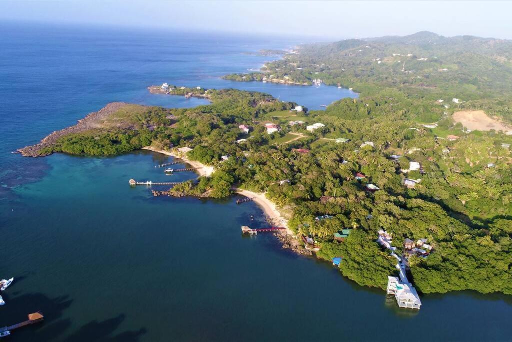 The Dock Resort Over Water Retreat West End Dış mekan fotoğraf