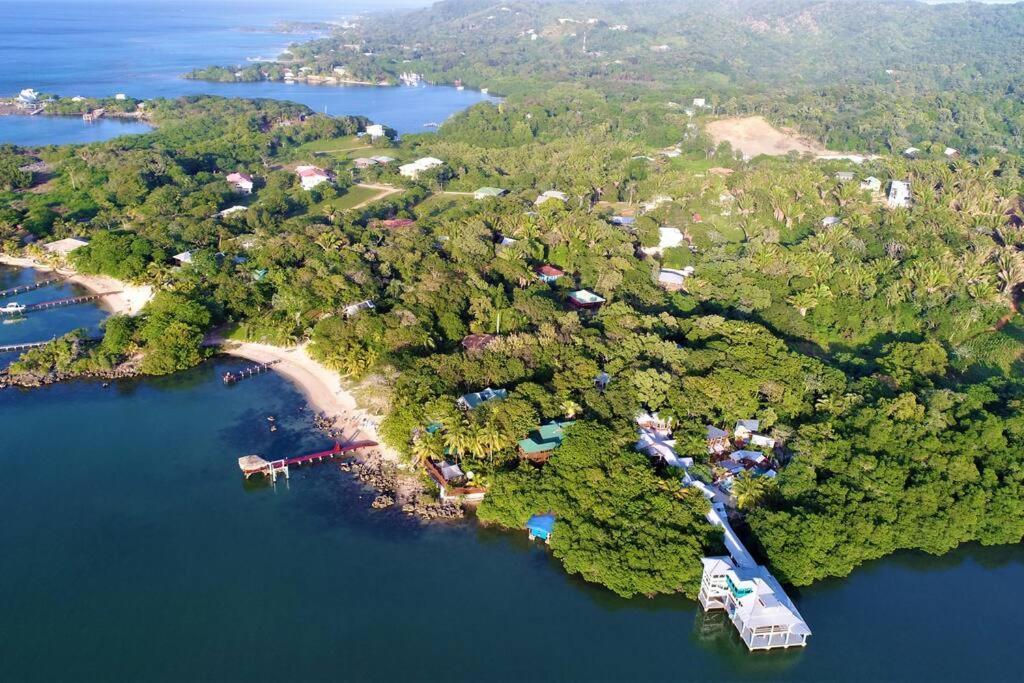 The Dock Resort Over Water Retreat West End Dış mekan fotoğraf